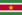 蘇利南共和國的國旗