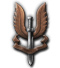 Expanded Special Forces icon