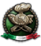 皇家陆军/意大利陆军 icon